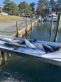 Reedville Report Photo 2