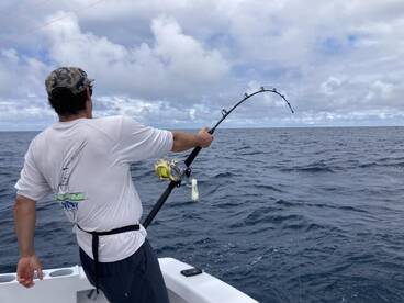 Quepos Report Photo 2