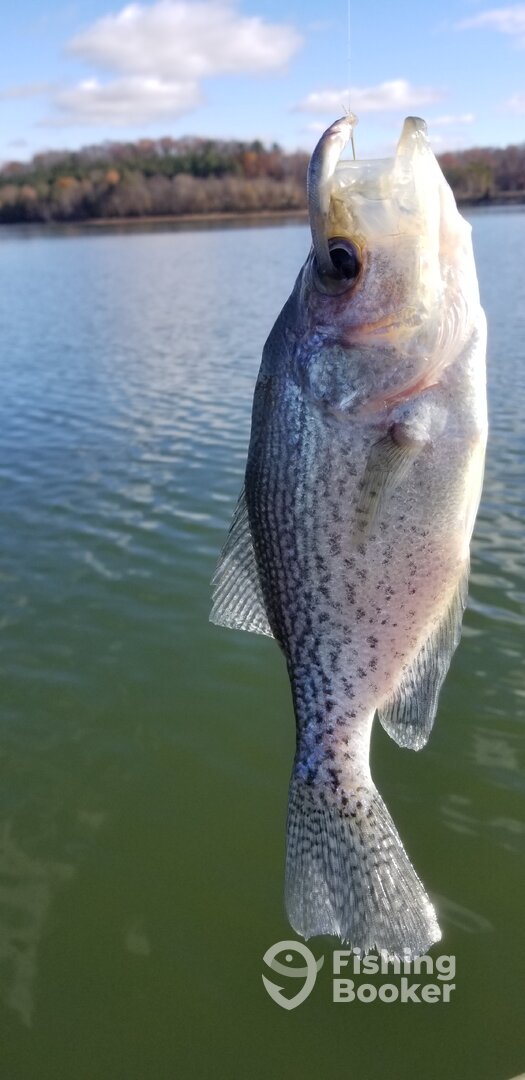 Harrison Report Photo 0