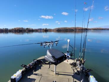 Harrison Report Photo 1