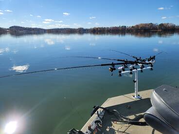 Harrison Report Photo 2