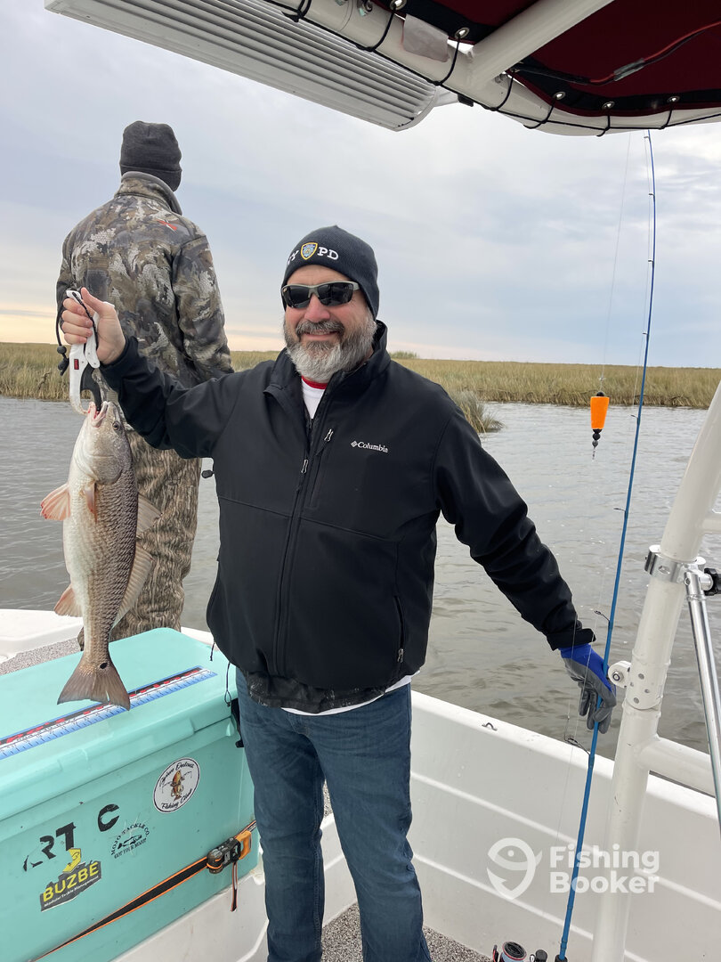 St. Bernard Report Photo 0