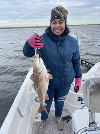 St. Bernard Report Photo 2