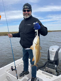 St. Bernard Report Photo 1