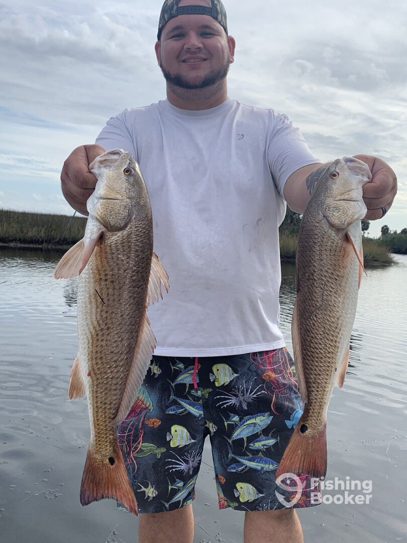 Spring Hill Report Photo 0