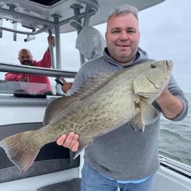 THE BITE IS ON FIRE!!!