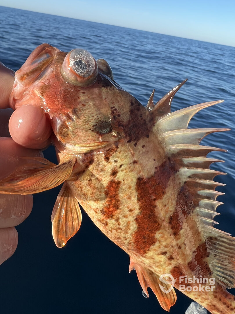 San Diego Report Photo 0