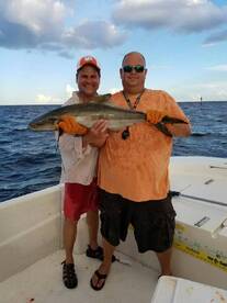 St. Petersburg Report Photo 2