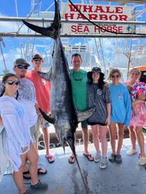 Want to try a Swordfish trip?