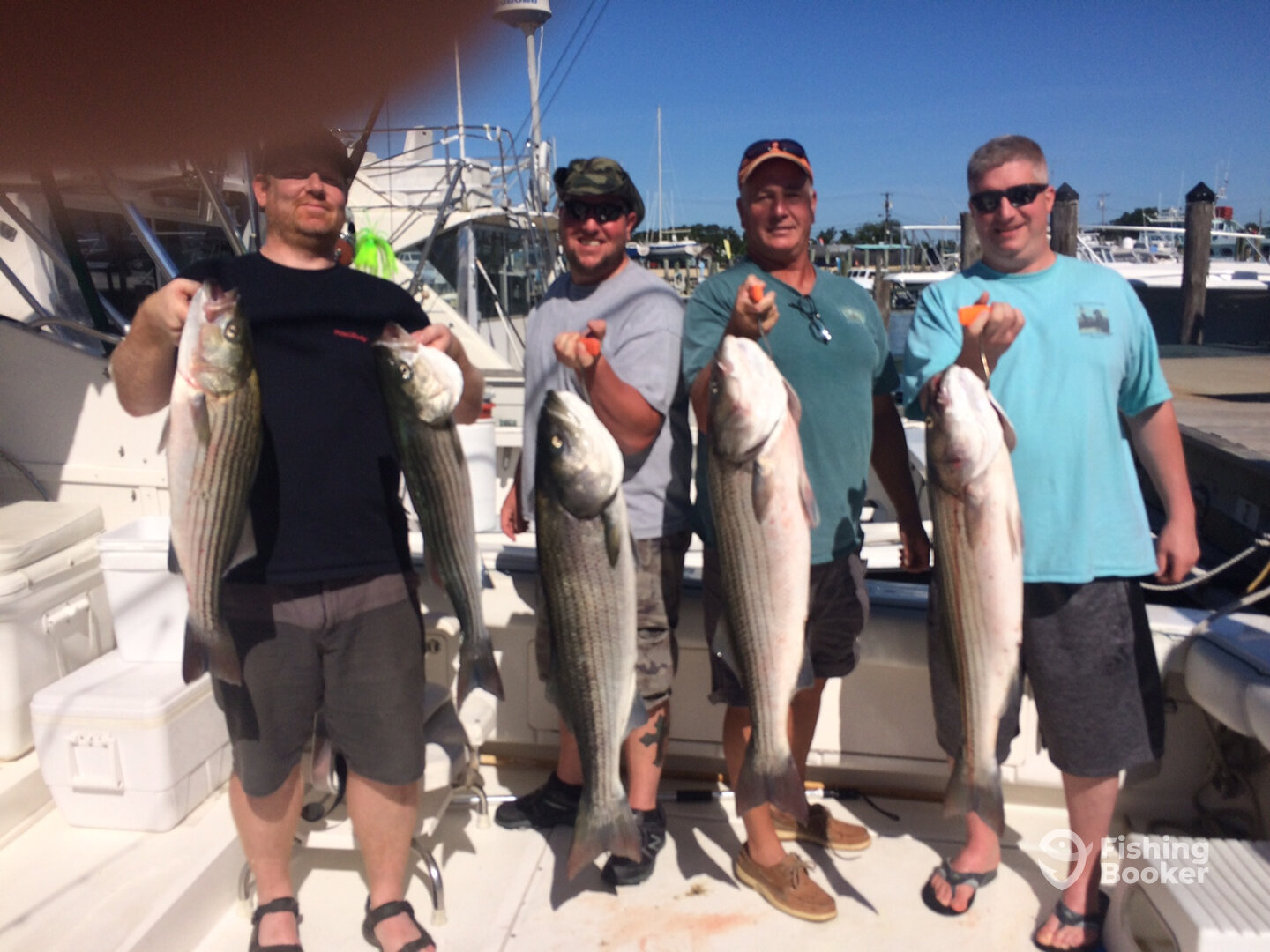 Montauk Report Photo 0