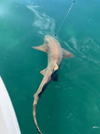 Islamorada Verslag Foto 2