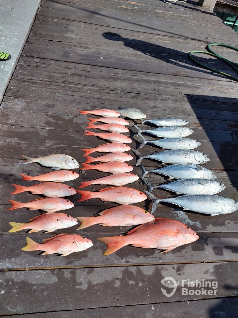 Fort Lauderdale Report Photo 0