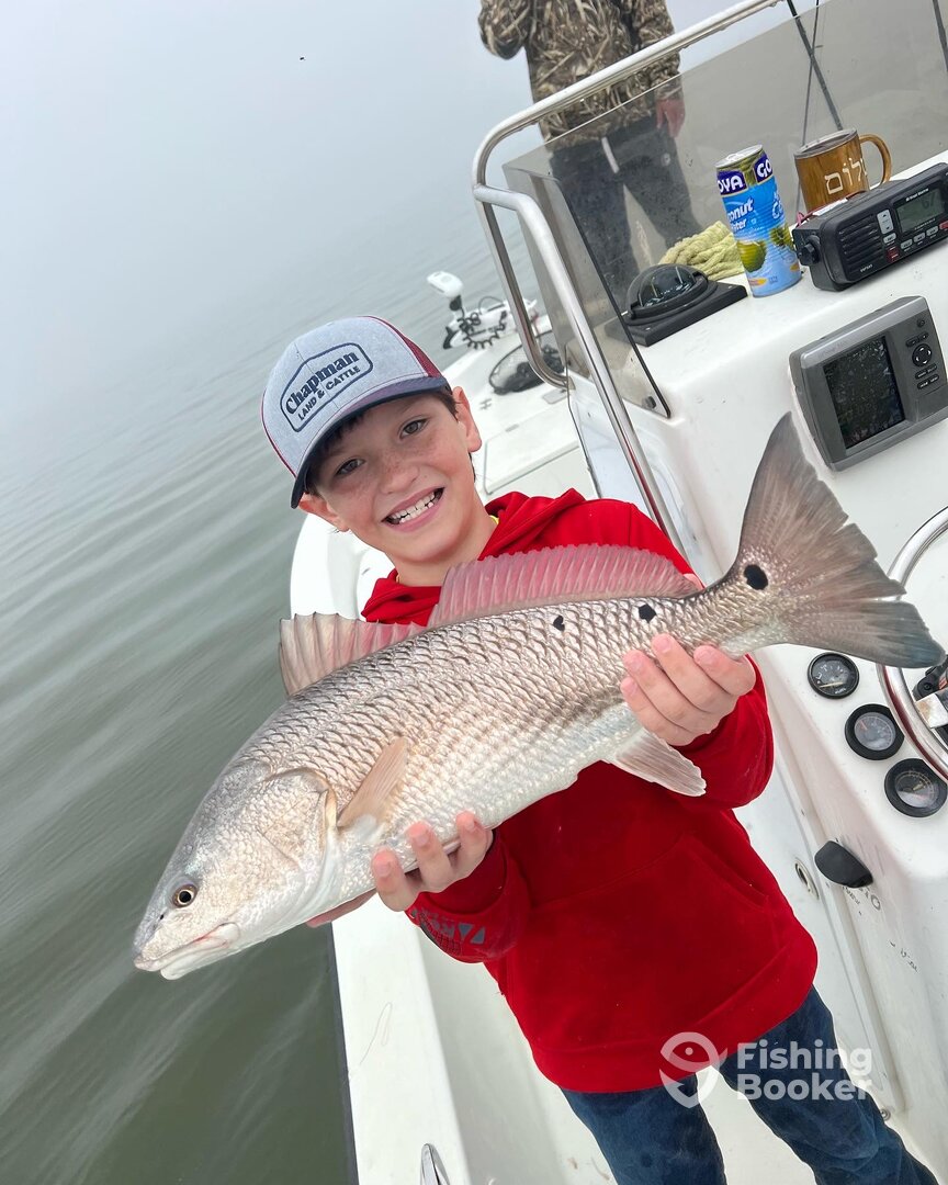 Venice Report Photo 0