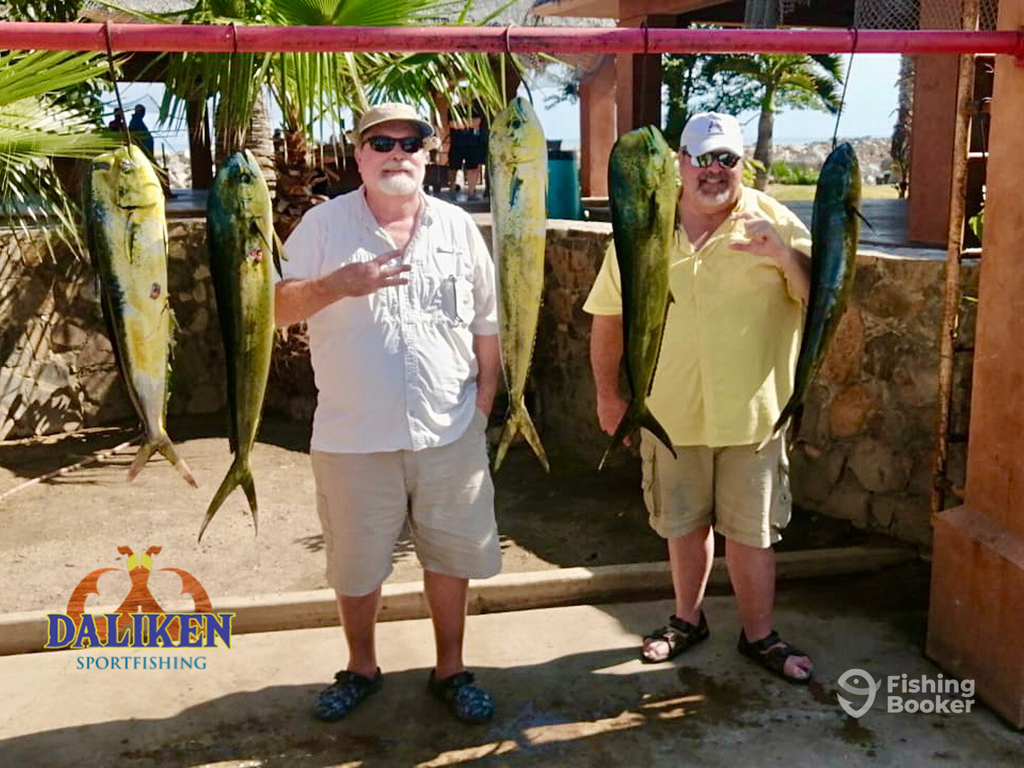 San Jose del Cabo Report Photo 0