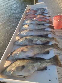 Clearwater Report Photo 1