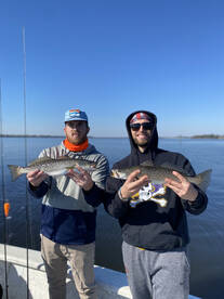 Beaufort Report Photo 1