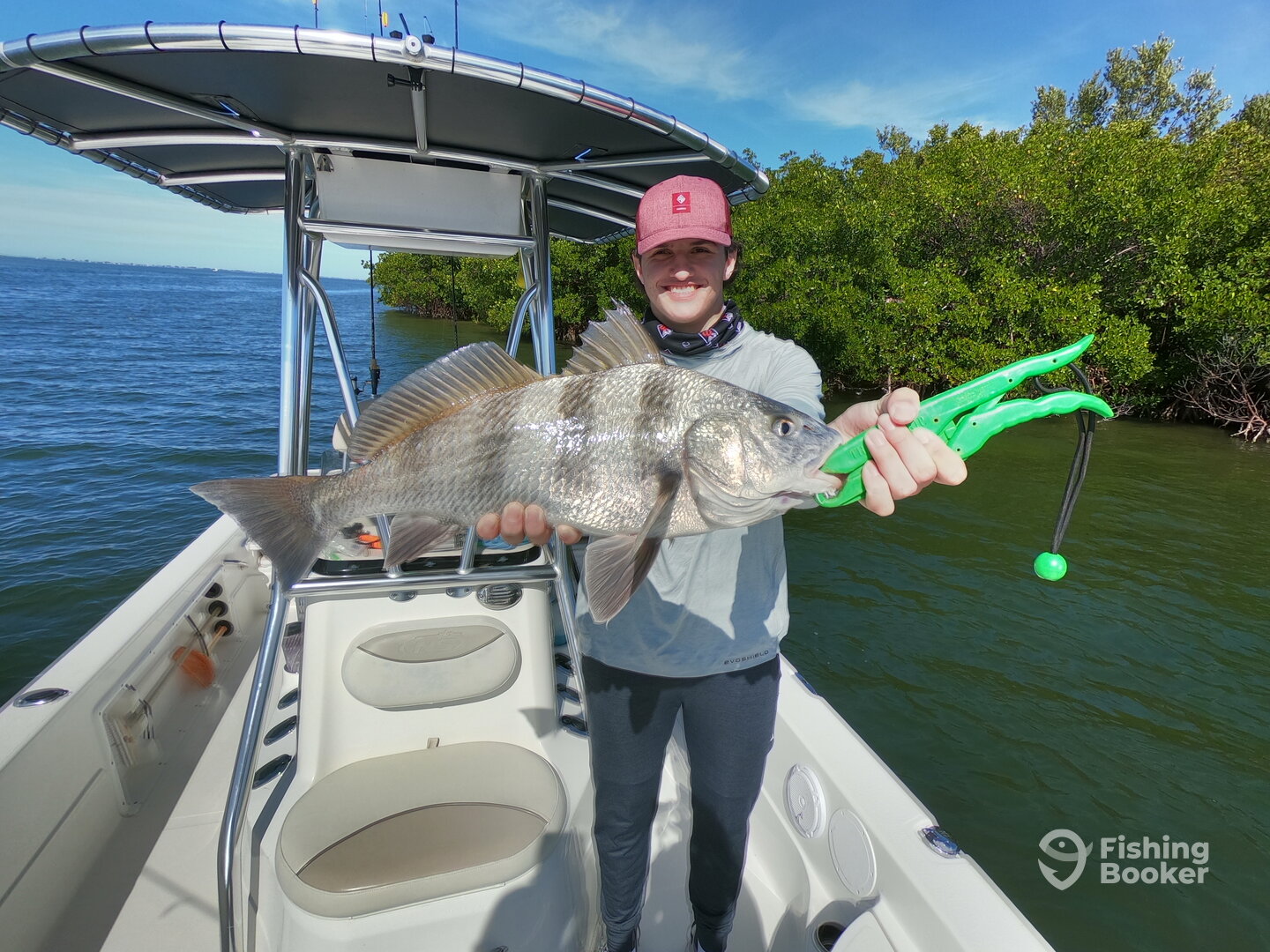 Punta Gorda Report Photo 0