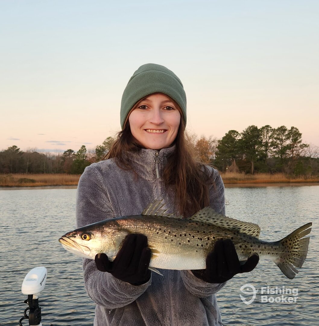 Virginia Beach Report Photo 0