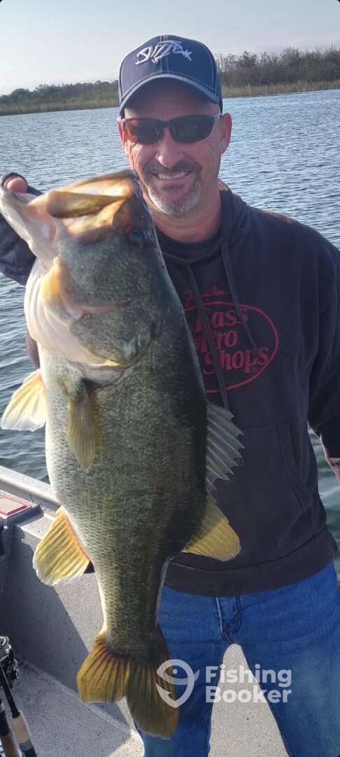 Orlando Report Photo 0