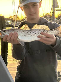 Norfolk Report Photo 1