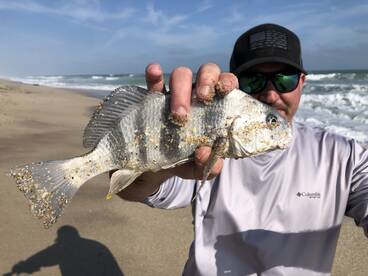 Cocoa Beach Report Photo 1