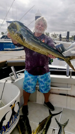 San Jose del Cabo Report Photo 2