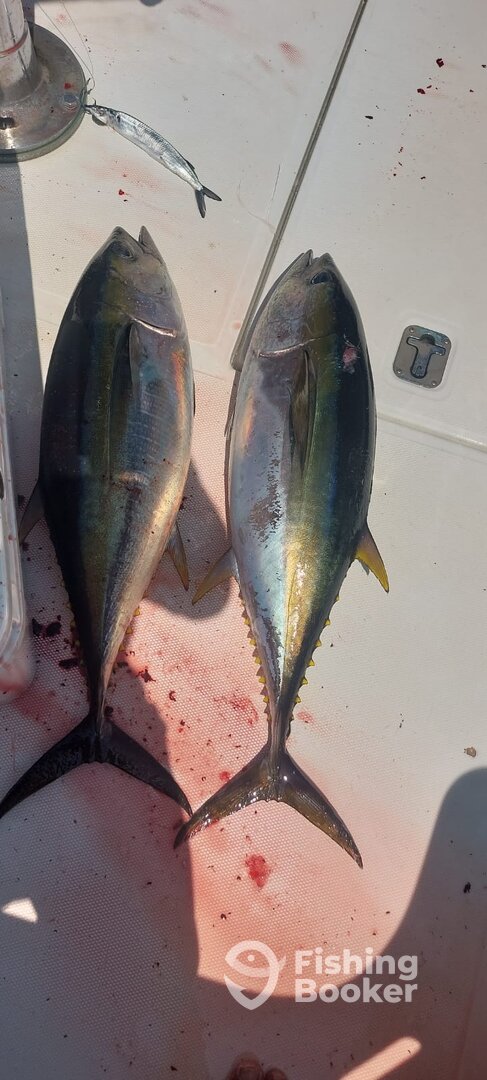 Herradura Report Photo 0