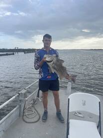 Lafitte Report Photo 1