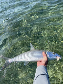 Key West Winter Time On The Flats