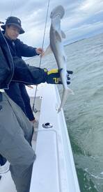 Cape Coral Report Photo 2