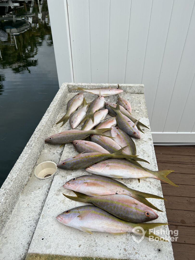 Ramrod Key Report Photo 0