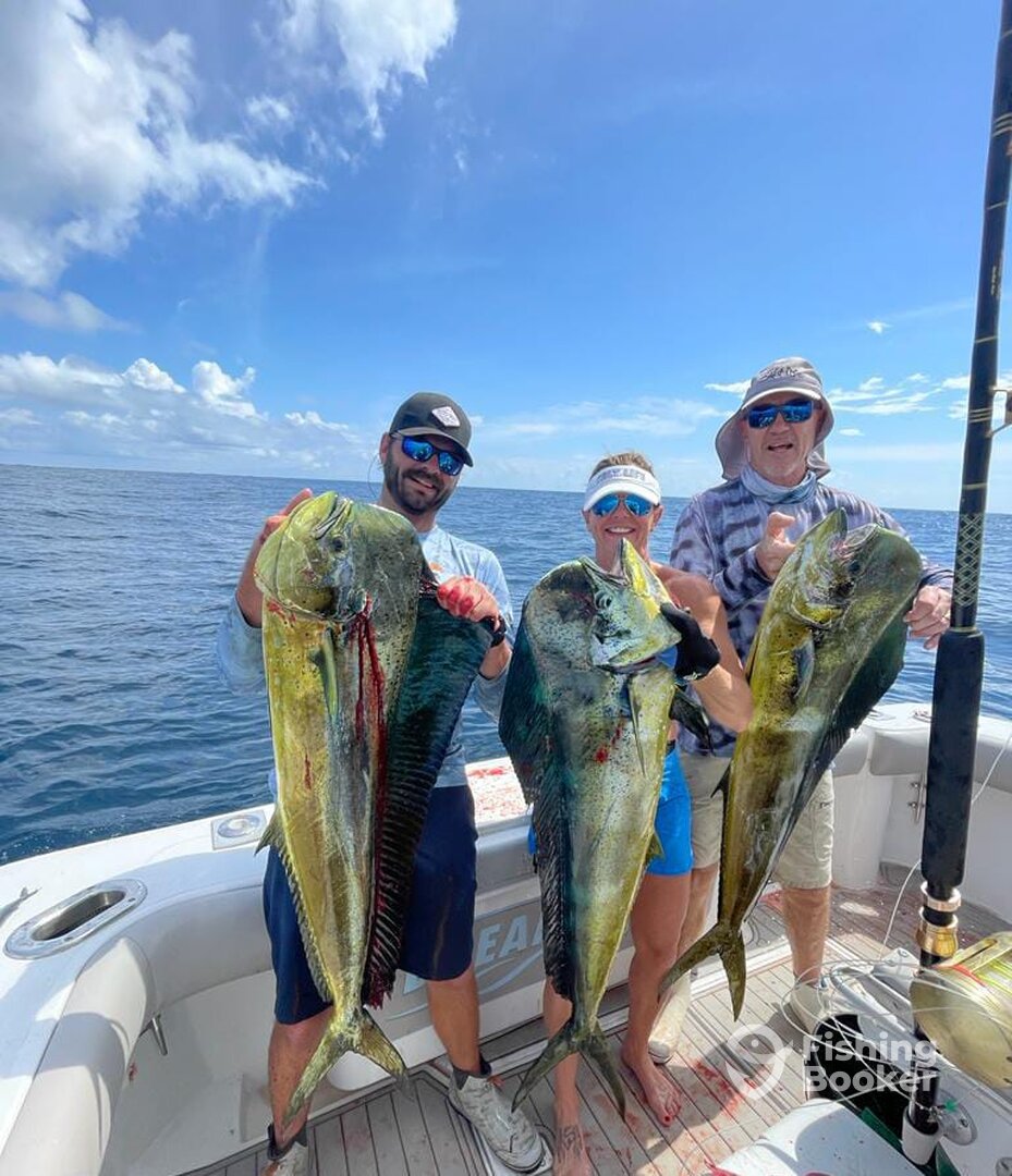 Herradura Report Photo 0