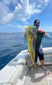 Herradura Report Photo 1