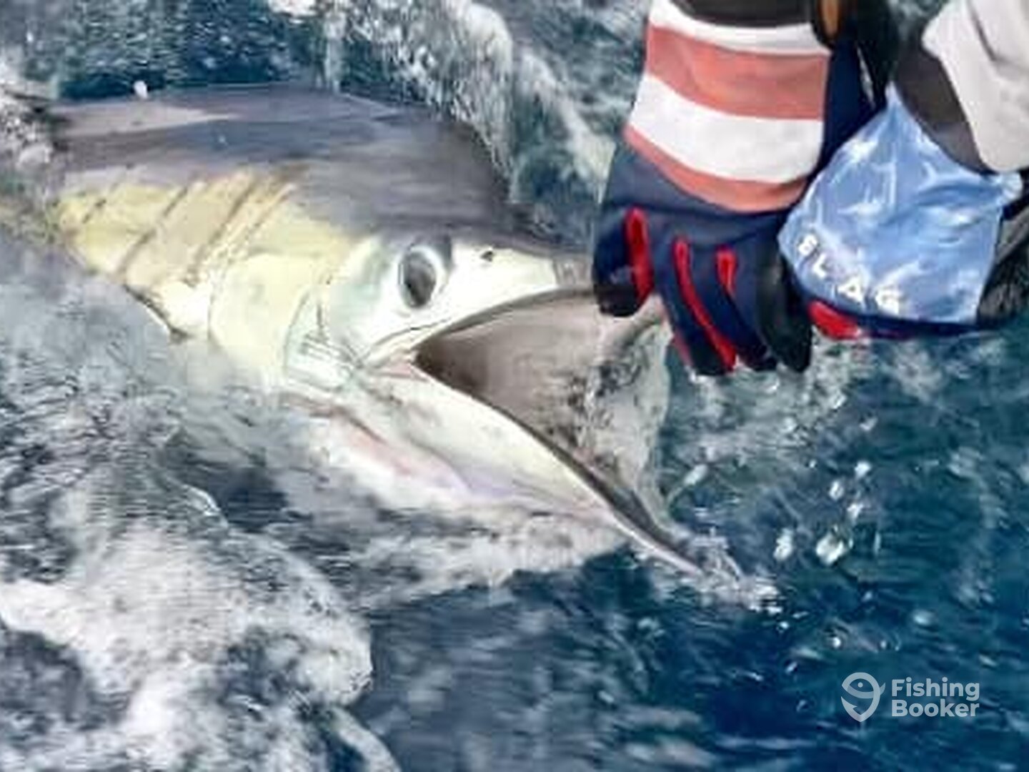 Quepos Report Photo 0