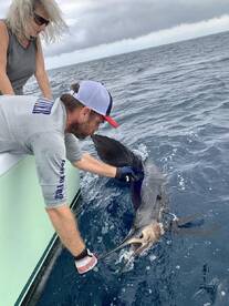 Quepos Report Photo 1