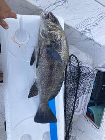 Port Canaveral Report Photo 2