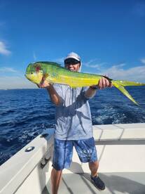 Dania Beach Report Photo 1