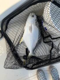 Port Canaveral Report Photo 1