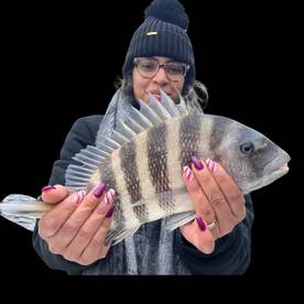 Cape Coral Report Photo 1