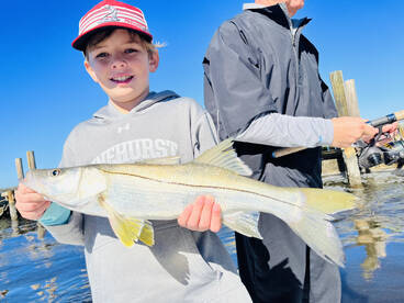 Cape Coral Report Photo 1