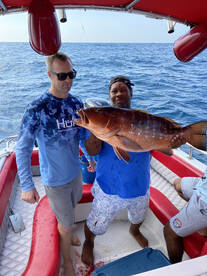 Cartagena Report Photo 2