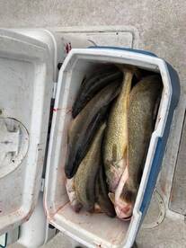 A few pictures from 2022