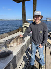 Orange Beach Report Photo 2