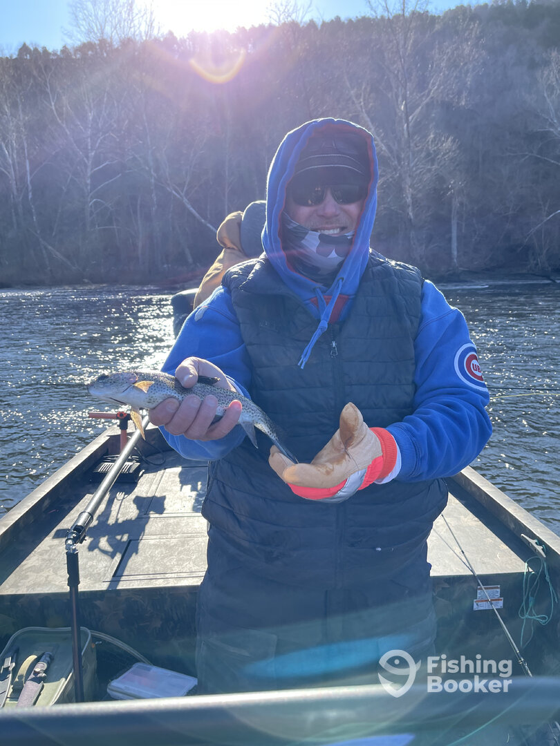 Branson Report Photo 0