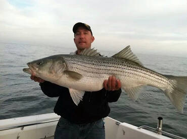 Striper & Black Sea Bass Seasons