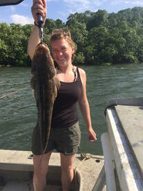 Cairns Report Photo 2