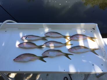 Ramrod Key Report Photo 2