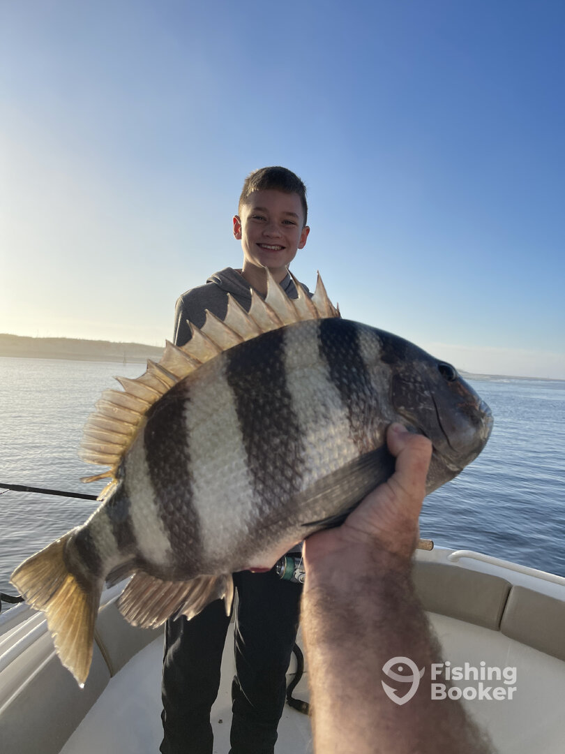 Orange Beach Report Photo 0