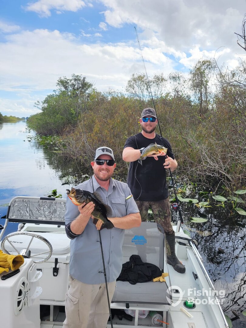 Naples Report Photo 0