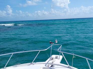 Puerto Aventuras Report Photo 1